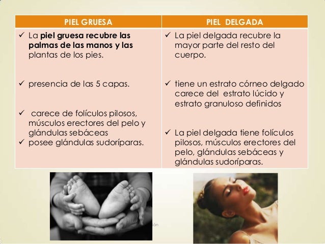 Filamento O Parte Muy Delgada De Una Cosa