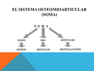 EL SISTEMA OSTEOMIOARTICULAR 
(SOMA) 
 