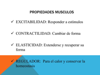 PROPIEDADES MUSCULOS 
 EXCITABILIDAD: Responder a estímulos 
 CONTRACTILIDAD: Cambiar de forma 
 ELASTICIDAD: Extenderse y recuperar su 
forma 
 REGULADOR: Para el calor y conservar la 
homeostasis 
 