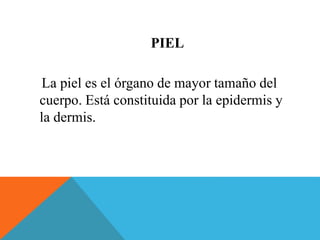 PIEL 
La piel es el órgano de mayor tamaño del 
cuerpo. Está constituida por la epidermis y 
la dermis. 
 