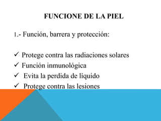 FUNCIONE DE LA PIEL 
1.- Función, barrera y protección: 
 Protege contra las radiaciones solares 
 Función inmunológica 
 Evita la perdida de líquido 
 Protege contra las lesiones 
 