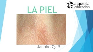 LA PIEL
Jacobo Q. P.
 