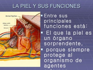 LA PIEL Y SUS FUNCIONES Entre sus principales  funciones está: El que la piel es un órgano sorprendente, porque siempre protege al organismo de agentes externos .  