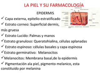 LA PIEL Y SU FARMACOLOGÍA
                      EPIDERMIS
 Capa externa, epitelio estratificado
 Estrato corneo: Superficial dermis,
más gruesa
 Estrato Lucido: Palmas y manos
Estrato granuloso: Queratohialina, células aplanadas
 Estrato espinoso: células basales y capa espinosa
Estrato germinativo: Melanocitos
Melanocitos: Membrana basal,de la epidermis
 Pigmentación ala piel, pigmento melanico, esta
constituido por melanina
 