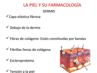 LA PIEL Y SU FARMACOLOGÍA
                         DERMIS
Capa elástica fibrosa

 Debajo de la dermis

 Fibras de colágeno: Están constituidas por bandas

 Fibrillas llenas de colágena

 Escleroproteina

 Tensión a la piel
 