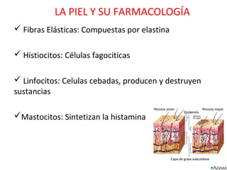 LA PIEL Y SU FARMACOLOGÍA
 Fibras Elásticas: Compuestas por elastina

 Histiocitos: Células fagociticas

 Linfocitos: Celulas cebadas, producen y destruyen
sustancias

Mastocitos: Sintetizan la histamina
 