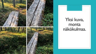 Yksi kuva,
monta
näkökulmaa.
 