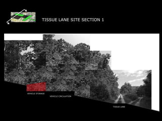 TISSUE LANE SITE SECTION 1VEHICLE STORAGEVEHICLE CIRCULATIONTISSUE LANE