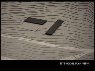 SITE MODEL PLAN VIEW