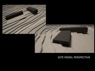 SITE MODEL PERSPECTIVE