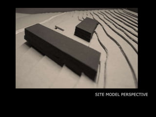 SITE MODEL PERSPECTIVE
