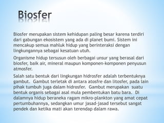 Biosfer merupakan sistem kehidupan paling besar karena terdiri
dari gabungan ekosistem yang ada di planet bumi. Sistem ini
mencakup semua mahluk hidup yang berinteraksi dengan
lingkungannya sebagai kesatuan utuh.
Organisme hidup tersusun oleh berbagai unsur yang berasal dari
biosfer, baik air, mineral maupun komponen-komponen penyusun
atmosfer.
Salah satu bentuk dari lingkungan hidrosfer adalah terbentuknya
gambut. Gambut terletak di antara atosfre dan litosfer, pada lain
pihak tumbuh juga dalam hidrosfer. Gambut merupakan suatu
bentuk organis sebagai asal mula pembentukan batu bara. Di
dalamnya hidup beraneka ragam mikro-plankton yang amat cepat
pertumbuhannya, sedangkan umur jasad-jasad tersebut sangat
pendek dan ketika mati akan terendap dalam rawa.
 