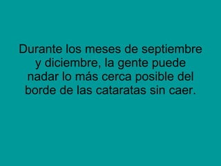 Durante los meses de septiembre y diciembre, la gente puede nadar lo más cerca posible del borde de las cataratas sin caer. 
