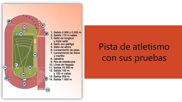 Featured image of post Dibujo De Una Pista Atlética