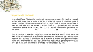 Importancia nacional
La producción de Pitaya se ha mantenido en aumento a través de los años, pasando
de 448 Ton en el 2000 a 3,428.3 Ton en el 2010 (la superficie destinada para su
cultivo también ha mantenido esta tendencia, reportando el mayor aumento en el
2002 en más del 80% con respecto al año anterior), registrándose una Tasa de
Crecimiento Media Anual (TCMA) de 20.32% con un rendimiento promedio por
hectárea de 3.44 Ton.
Para el caso de la Pitahaya, su producción se vio afectada debido a que en el año
2002 hubo una reducción en el número de hectáreas destinadas para su cultivo en
más del 40%, bajando la producción de la fruta en el mismo año aproximadamente
en un 87%; reportando una Tasa de Crecimiento Media Anual para el periodo 2000-
2010 de -9.47% y un rendimiento promedio por hectárea de 3.2 Ton.
 