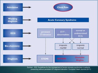Sumber : ESC Guidelines for the management of acute coronary syndromes in patients
presenting without persistent ST-segment elevation. European Heart Journal (2011)
 