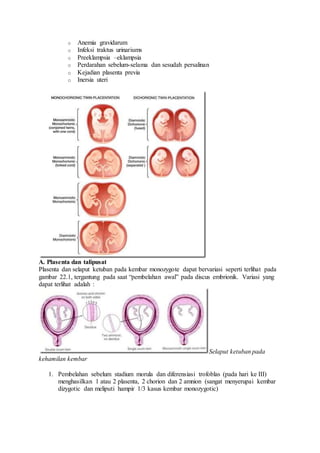 o Anemia gravidarum
o Infeksi traktus urinariums
o Preeklampsia –eklampsia
o Perdarahan sebelum-selama dan sesudah persalinan
o Kejadian plasenta previa
o Inersia uteri
A. Plasenta dan talipusat
Plasenta dan selaput ketuban pada kembar monozygote dapat bervariasi seperti terlihat pada
gambar 22.1, tergantung pada saat “pembelahan awal” pada discus embrionik. Variasi yang
dapat terlihat adalah :
Selaput ketuban pada
kehamilan kembar
1. Pembelahan sebelum stadium morula dan diferensiasi trofoblas (pada hari ke III)
menghasilkan 1 atau 2 plasenta, 2 chorion dan 2 amnion (sangat menyerupai kembar
dizygotic dan meliputi hampir 1/3 kasus kembar monozygotic)
 