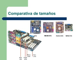 Comparativa de tamaños
 