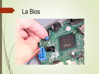 La Bios
 
