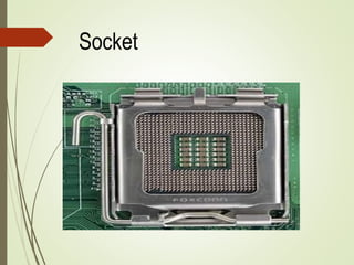 Socket
 