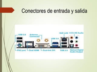 Conectores de entrada y salida
 