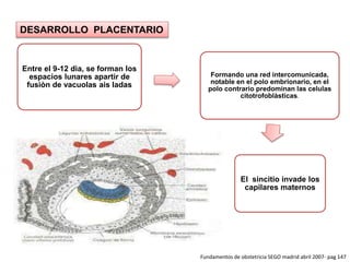 LA PLACENTA.pptx