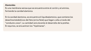 Alantoides
Es una membrana serosa que se encuentra entre el corión y el amnios,
formando la cavidad alantoica.
En la cavidad alantoica, se encuentra el líquidoalantoico, que contiene los
desechosmetabólicos del feto (orina fetal) que llegan a ella a través del
"conducto uraco", su cantidad varia durante el desarrollo de la preñez.
En equinos, se encuentran los "hipómanes".
 