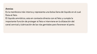 Amnios
Es la membrana más interna y representa una bolsa llena de líquido en el cual
flota el feto.
El líquido amniótico, esta en contacto directo con el feto y cumple la
importante función de proteger al feto e interviene en la dilatación del
canal cervical y lubricación de las vías genitales para favorecer el parto.
 