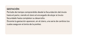 GESTACIÓN
Período de tiempo comprendido desde la fecundación del óvulo
hasta el parto; siendo el útero el encargado de alojar al óvulo
fecundado hasta completar su desarrollo.
Durante la gestación aparecen, en el útero, una serie de cambios los
cuales aseguran el éxito de la preñez.
 