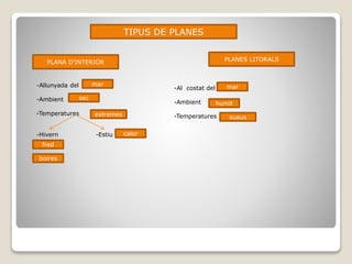 TIPUS DE PLANES 
PLANA D’INTERIOR PLANES LITORALS 
-Allunyada del 
-Ambient 
sec 
-Temperatures 
mar 
extremes 
-Hivern -Estiu 
fred 
calor 
boires 
-Al costat del 
-Ambient 
-Temperatures 
mar 
humit 
suaus 
 