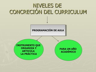 NIVELES DE CONCRECIÓN DEL CURRICULUM PROGRAMACIÓN DE AULA INSTRUMENTO QUE ORGANIZA Y ARTICULA LA PRÁCTICA PARA UN AÑO ACADÉMICO