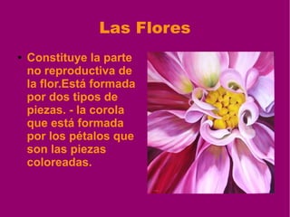 Las Flores
● Constituye la parte
no reproductiva de
la flor.Está formada
por dos tipos de
piezas. - la corola
que está formada
por los pétalos que
son las piezas
coloreadas.
 