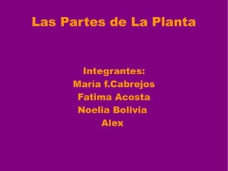 Las Partes de La Planta
Integrantes:
María f.Cabrejos
Fatima Acosta
Noelia Bolivia
Alex
 