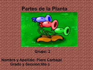 Partes de la Planta
Grupo: 2
Nombre y Apellido: Piero Carbajal
Grado y Seccion:6to c
 