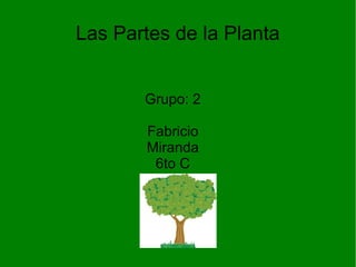 Las Partes de la Planta
Grupo: 2
Fabricio
Miranda
6to C
 