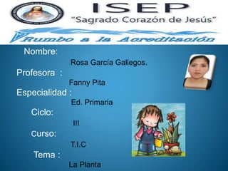 Nombre:
Rosa García Gallegos.
Profesora :
Fanny Pita
Especialidad :
Ed. Primaria
Ciclo:
III
Curso:
T.I.C
Tema :
La Planta
 