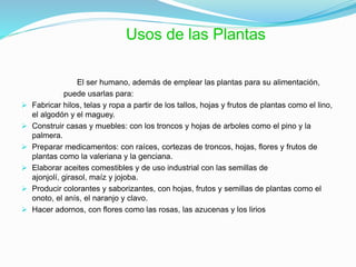 El ser humano, además de emplear las plantas para su alimentación,
puede usarlas para:
 Fabricar hilos, telas y ropa a partir de los tallos, hojas y frutos de plantas como el lino,
el algodón y el maguey.
 Construir casas y muebles: con los troncos y hojas de arboles como el pino y la
palmera.
 Preparar medicamentos: con raíces, cortezas de troncos, hojas, flores y frutos de
plantas como la valeriana y la genciana.
 Elaborar aceites comestibles y de uso industrial con las semillas de
ajonjolí, girasol, maíz y jojoba.
 Producir colorantes y saborizantes, con hojas, frutos y semillas de plantas como el
onoto, el anís, el naranjo y clavo.
 Hacer adornos, con flores como las rosas, las azucenas y los lirios
Usos de las Plantas
 