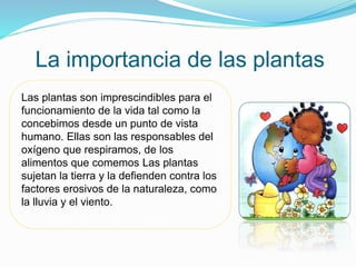 La importancia de las plantas
Las plantas son imprescindibles para el
funcionamiento de la vida tal como la
concebimos desde un punto de vista
humano. Ellas son las responsables del
oxígeno que respiramos, de los
alimentos que comemos Las plantas
sujetan la tierra y la defienden contra los
factores erosivos de la naturaleza, como
la lluvia y el viento.
 