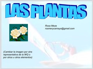 (Cambiar la imagen por otra
representativa de la WQ o
por otros u otros elementos)
Rosa Meza
rosmerycamayo@gmail.com
 