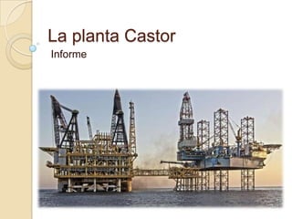 La planta Castor
Informe

 