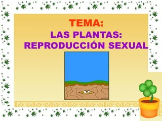 TEMA:
LAS PLANTAS:
REPRODUCCIÓN SEXUAL
 