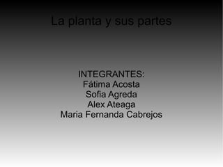 La planta y sus partes



     INTEGRANTES:
      Fátima Acosta
       Sofia Agreda
       Alex Ateaga
 Maria Fernanda Cabrejos
 