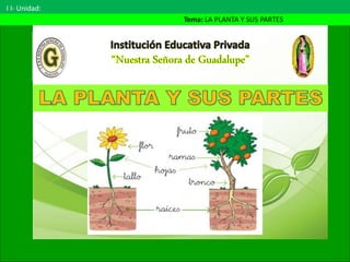 I I- Unidad:
Tema: LA PLANTA Y SUS PARTES
 