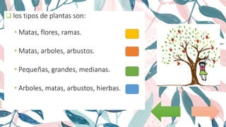  los tipos de plantas son:
• Matas, flores, ramas.
• Matas, arboles, arbustos.
• Pequeñas, grandes, medianas.
• Arboles, matas, arbustos, hierbas.
 