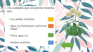  los cuidados que una planta necesita
son:
• Luz, pedaje, caracoles.
• Agua, luz, fertilización, control de
plagas.
• Tierra, agua, luz.
• Sombra, químicos.
 