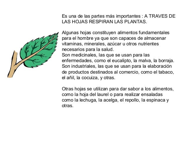 Los ejercicios el reforzamiento de la potencia