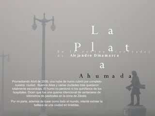 La Plata   Ahumada En la retina (irritada) de  Alejandro Dinamarca Promediando Abril de 2008, una nube de humo cubrió por ...