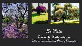 La Plata 
Ciudad de Universitarios 
Calles sin nombre,Ramblas, Plazas y Diagonales 
 