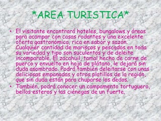 *AREA TURISTICA*El visitante encontrará hoteles, bungalows y áreas para acampar con casas rodantes y una excelente oferta gastronómica, rica en sabor y sazón. Cualquier cantidad de mariscos y pescados en toda su variedad y tipo son suculentos y de deleite incomparable. El zacahuil, tamal hecho de carne de puerco y envuelto en hoja de plátano, le dejará sin duda asombrado. Podrá también deleitarse con unas deliciosas empanadas y otros platillos de la región, que sin duda están para chuparse los dedos.También, podrá conocer un campamento tortuguero, bellos esteros y las ciénegas de un fuerte.