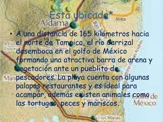 Esta ubicada*A una distancia de 165 kilómetros hacia el norte de Tampico, el río Carrizal desemboca en el golfo de México formando una atractiva barra de arena y vegetación ante un pueblito de pescadores. La playa cuenta con algunas palapas restaurantes y es ideal para acampar, además existen animales como las tortugas, peces y mariscos.